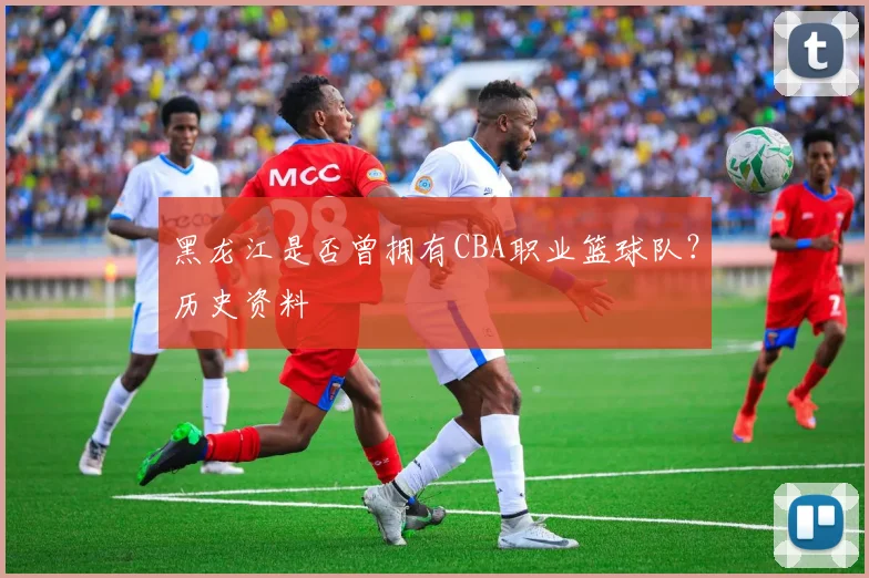 黑龙江是否曾拥有CBA职业篮球队？历史资料