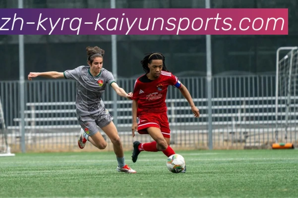 ky开云平台生态图